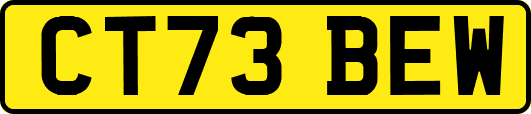 CT73BEW