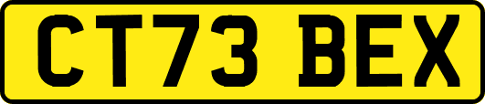 CT73BEX