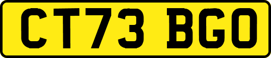 CT73BGO