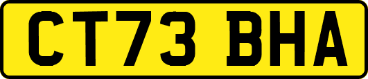 CT73BHA