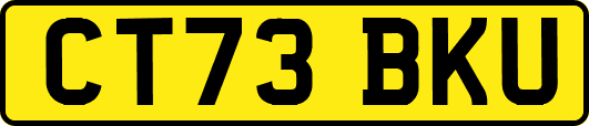 CT73BKU
