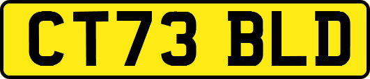 CT73BLD