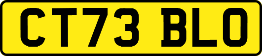 CT73BLO