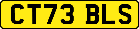 CT73BLS