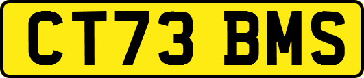 CT73BMS