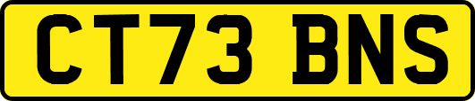 CT73BNS