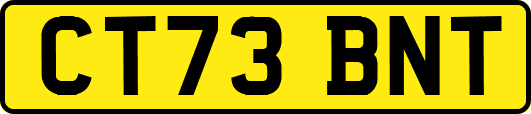 CT73BNT