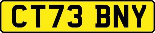CT73BNY