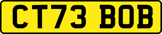 CT73BOB