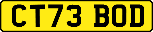CT73BOD