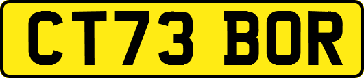 CT73BOR