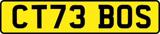 CT73BOS