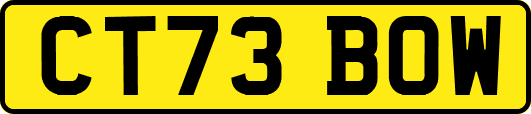 CT73BOW