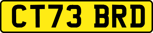 CT73BRD