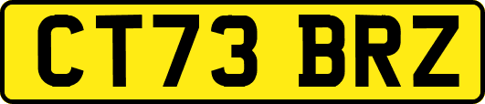 CT73BRZ