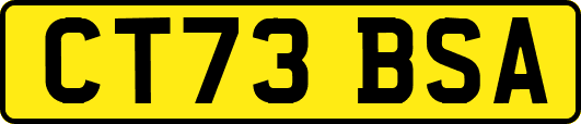 CT73BSA