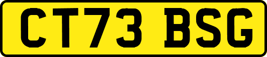 CT73BSG