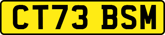 CT73BSM