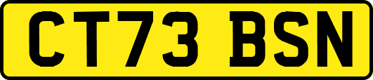 CT73BSN