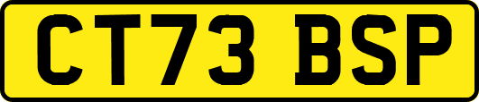 CT73BSP