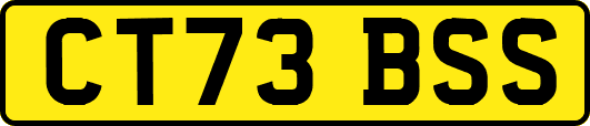 CT73BSS