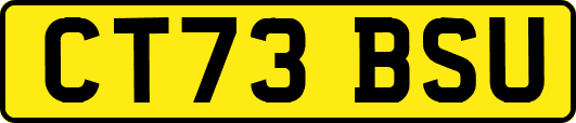 CT73BSU