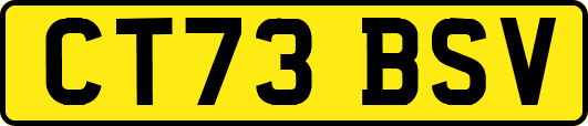 CT73BSV