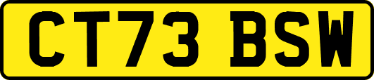 CT73BSW