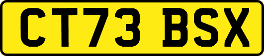 CT73BSX