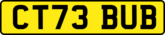 CT73BUB