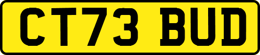 CT73BUD