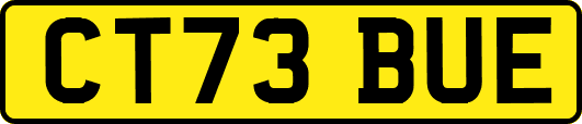 CT73BUE