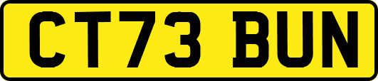 CT73BUN