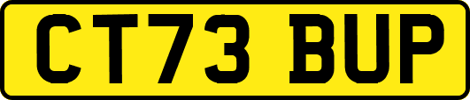 CT73BUP