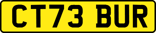 CT73BUR