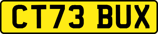 CT73BUX