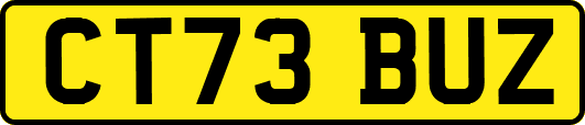 CT73BUZ