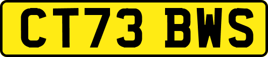 CT73BWS