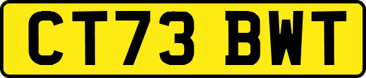 CT73BWT