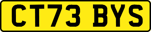 CT73BYS