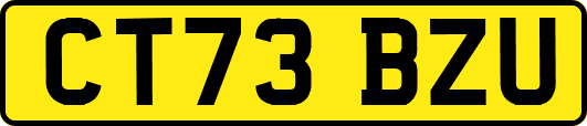 CT73BZU