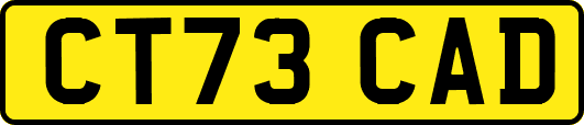 CT73CAD