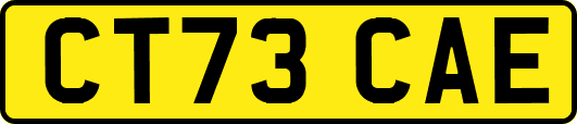CT73CAE