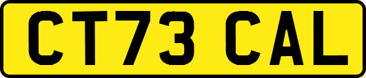 CT73CAL