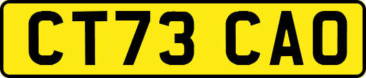 CT73CAO