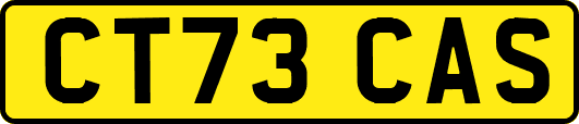 CT73CAS