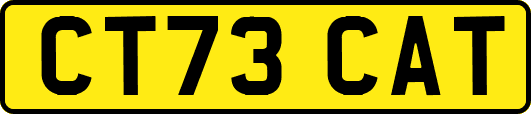 CT73CAT