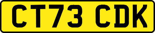 CT73CDK