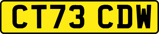 CT73CDW
