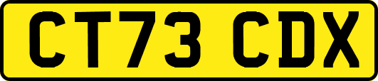 CT73CDX